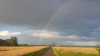 Foto der Wachtberger Landschaft