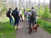 Foto von der Exkursion in den Adendorfer Wald